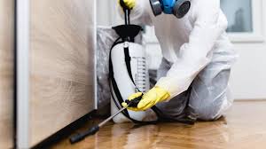 Best Fumigation Services  in Turners Falls, MA